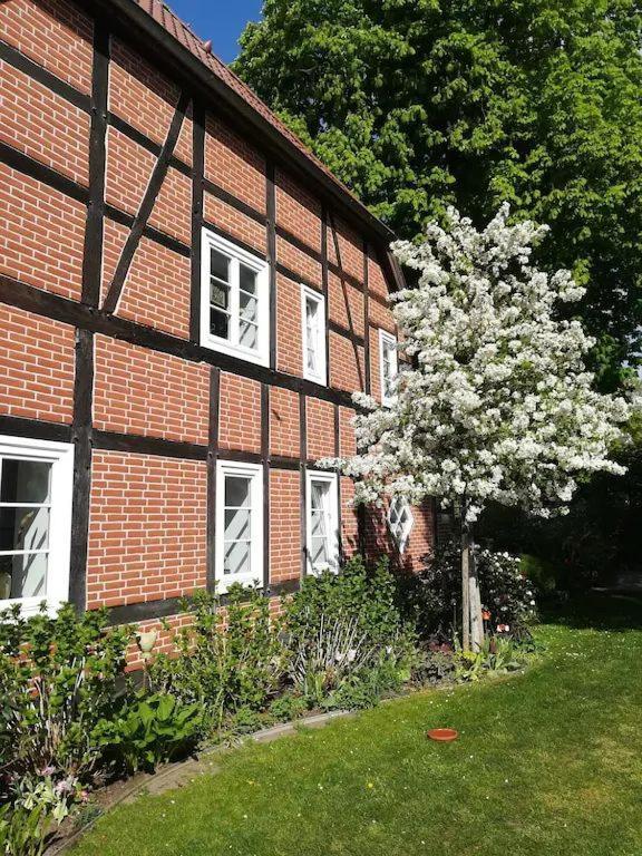 Apartment In Ruhiger Wohnlage Sie Sind In 3 Minuten Am Trebbower See Oder In 30 Minuten An Der Ostsee Klein Trebbow ภายนอก รูปภาพ