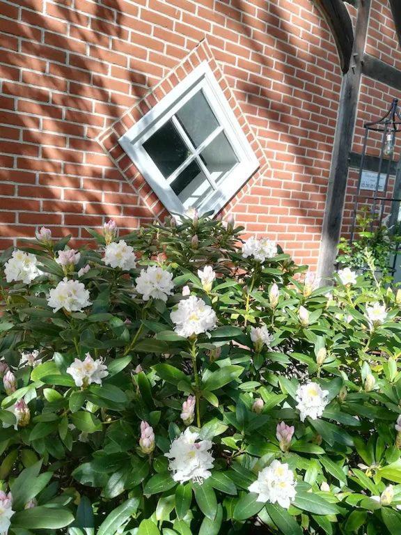 Apartment In Ruhiger Wohnlage Sie Sind In 3 Minuten Am Trebbower See Oder In 30 Minuten An Der Ostsee Klein Trebbow ภายนอก รูปภาพ